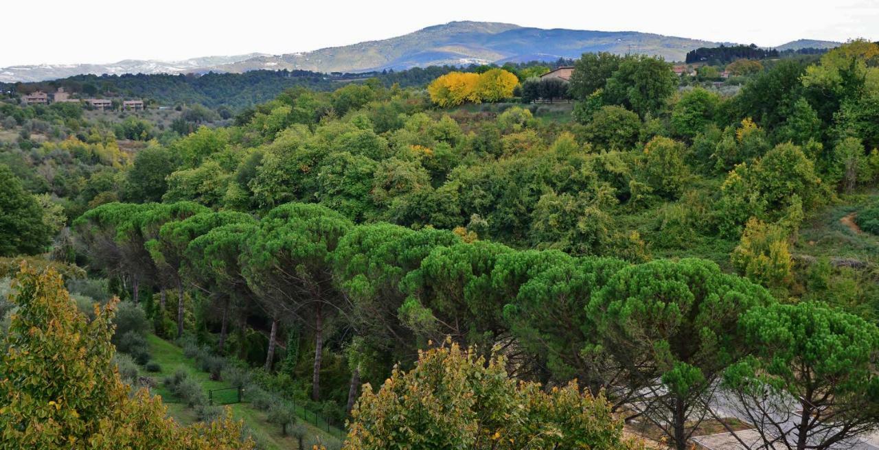 Pieve Suites Città della Pieve エクステリア 写真